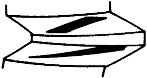 FX݆͜pX݆g(sh)Zӹ݆X|zԇ