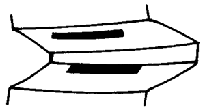 FX݆͜pX݆g(sh)Zӹ݆X|zԇ